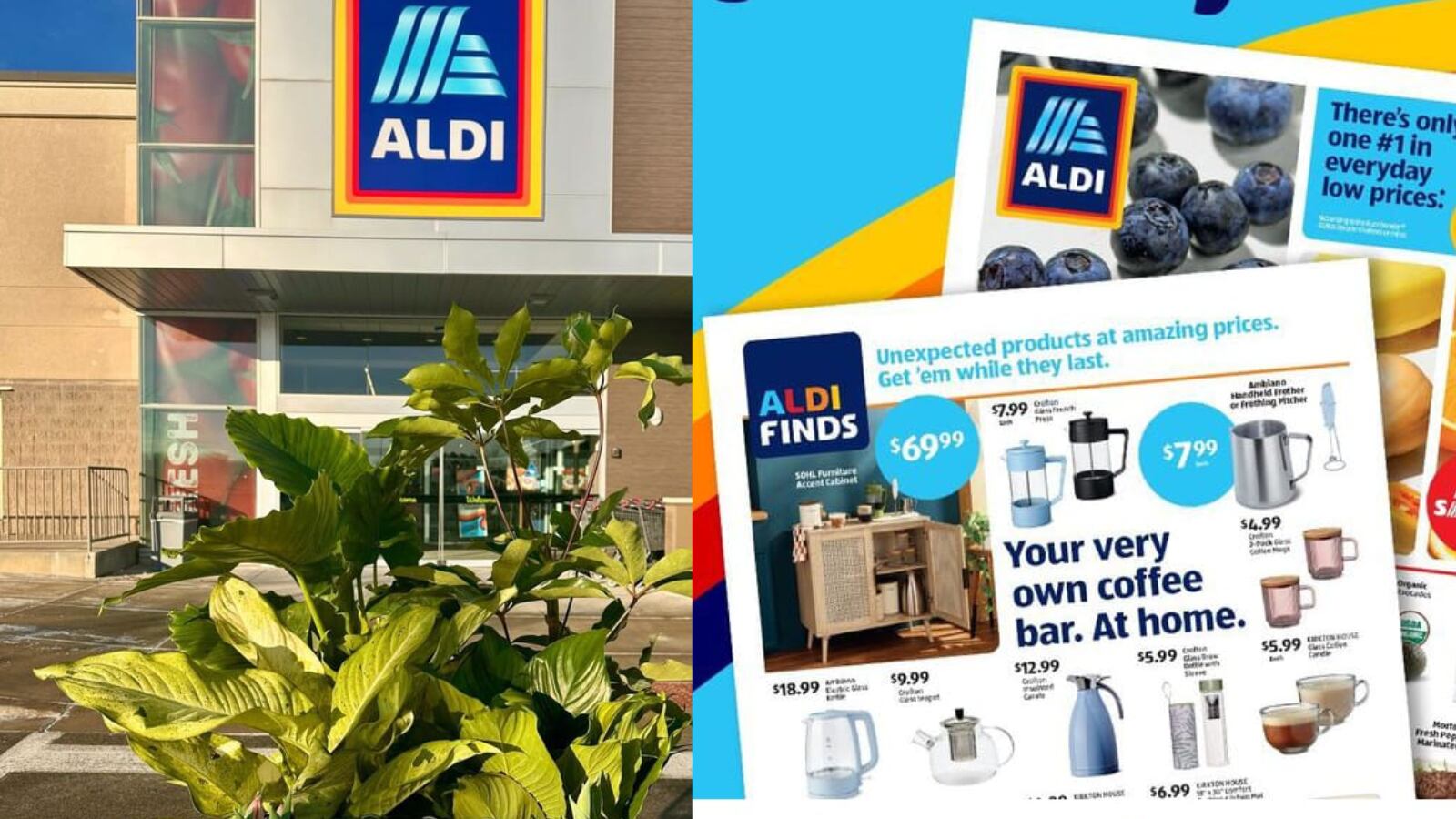 Cadena de supermercados anuncia su plan apara abrir más de 225 locales este año