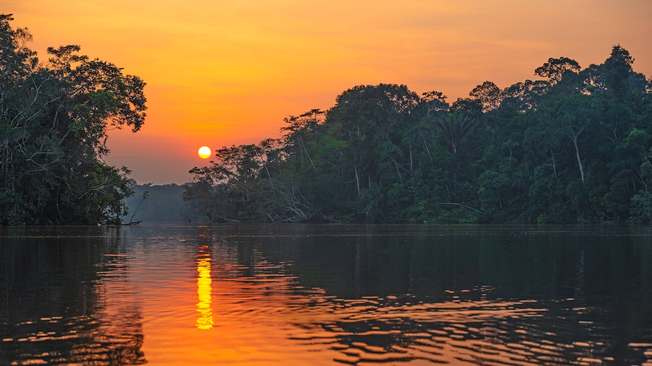 Reflejo de una puesta de sol junto a una laguna dentro de la cuenca de la selva amazónica, el parque nacional Yasuní.