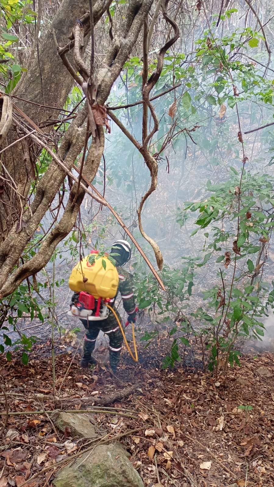 Militares arriesgando su vida en medio de los incendios.