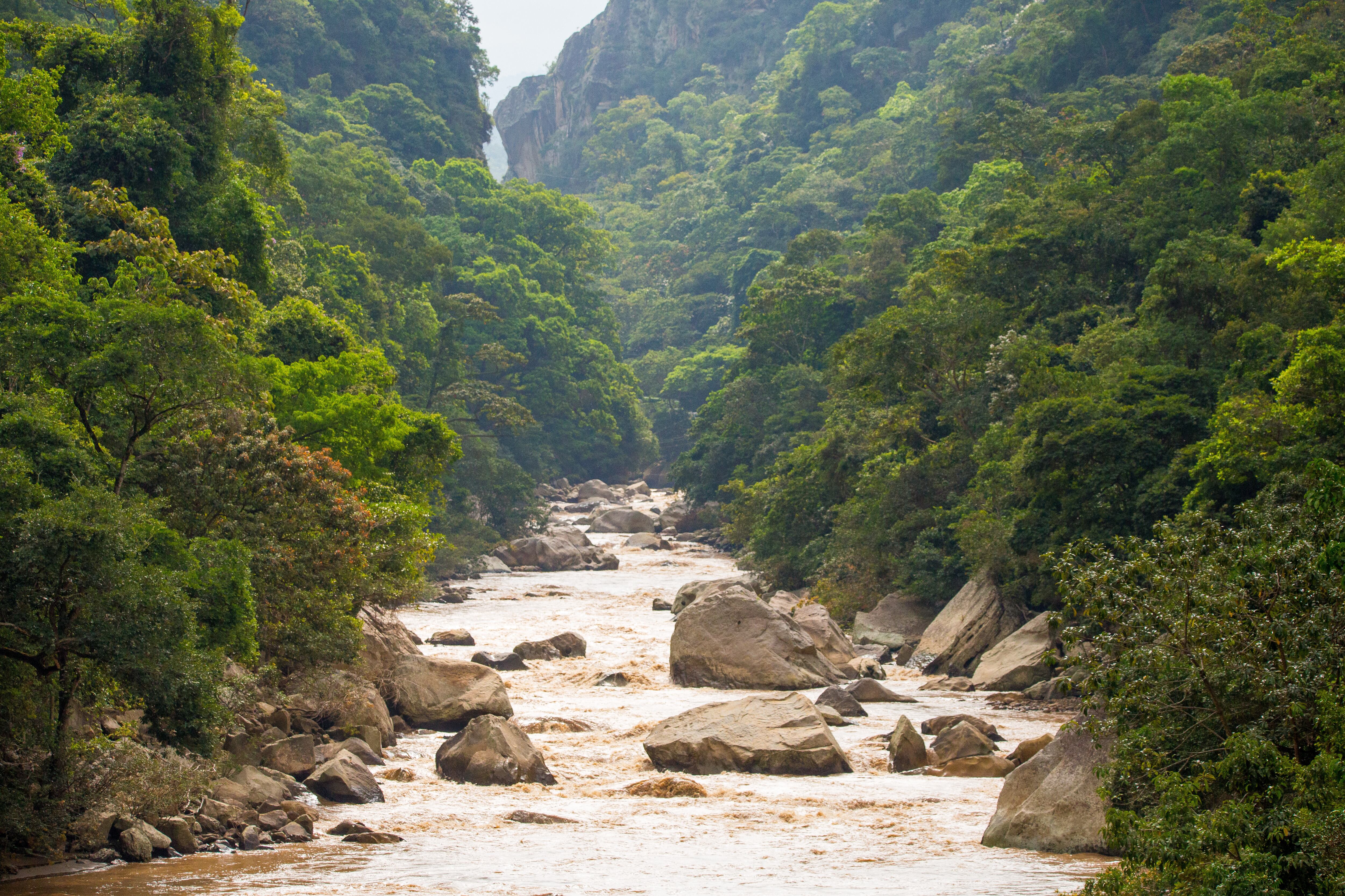 Empresas que construyen país - Contenido Amarilo