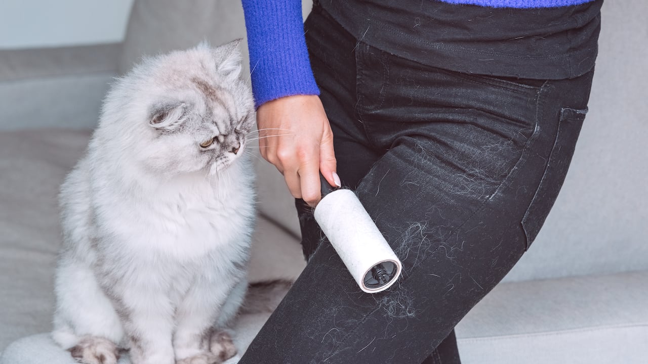 Los pelos en la ropa pueden llegar a ser incómodos.