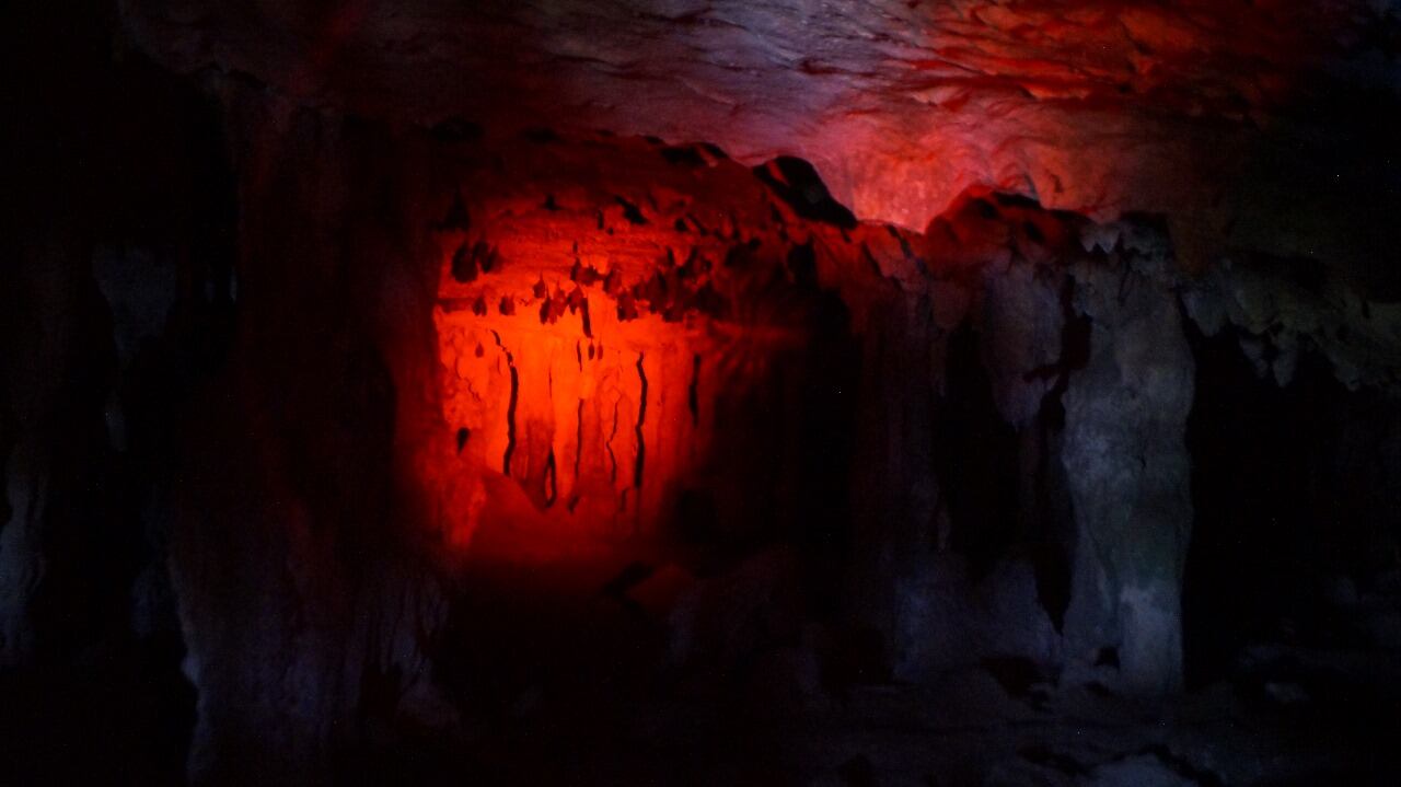 Murciélagos en las cuevas de Fontein Cave, ubicadas dentro del Parque Nacional Arikok, en Aruba (Foto: Juan Manuel Vargas)