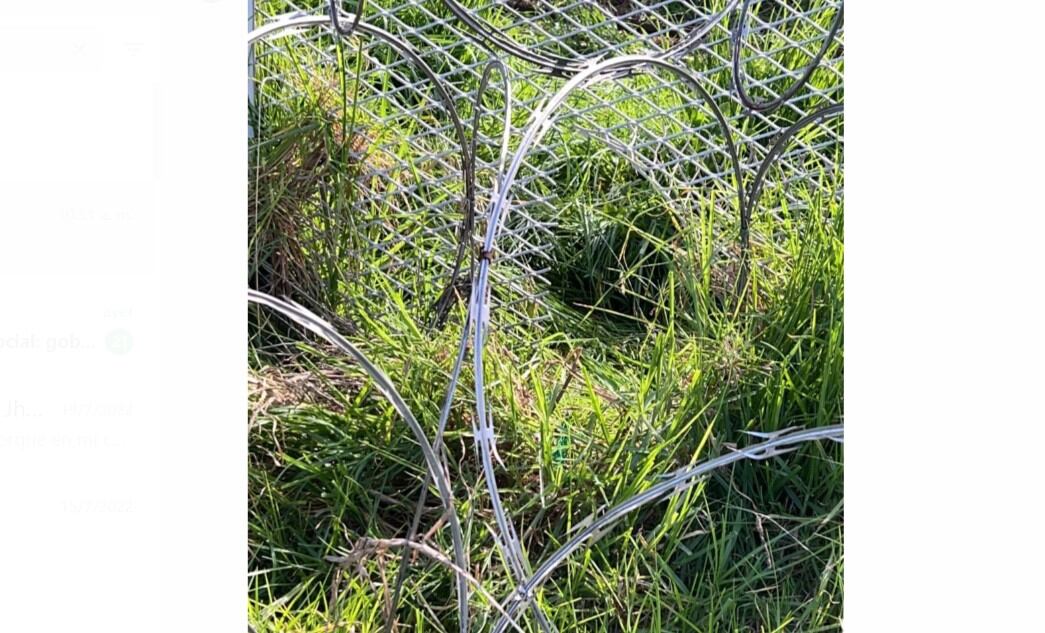 Deimer Sánchez Montejo alias Fernando o Meme, presunto cabecilla de la organización criminal conocida como Los Pelusos