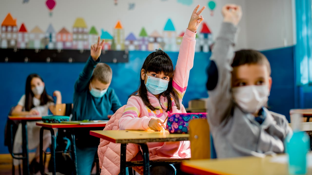 La educación primaria es la primera etapa de la educación básica obligatoria.