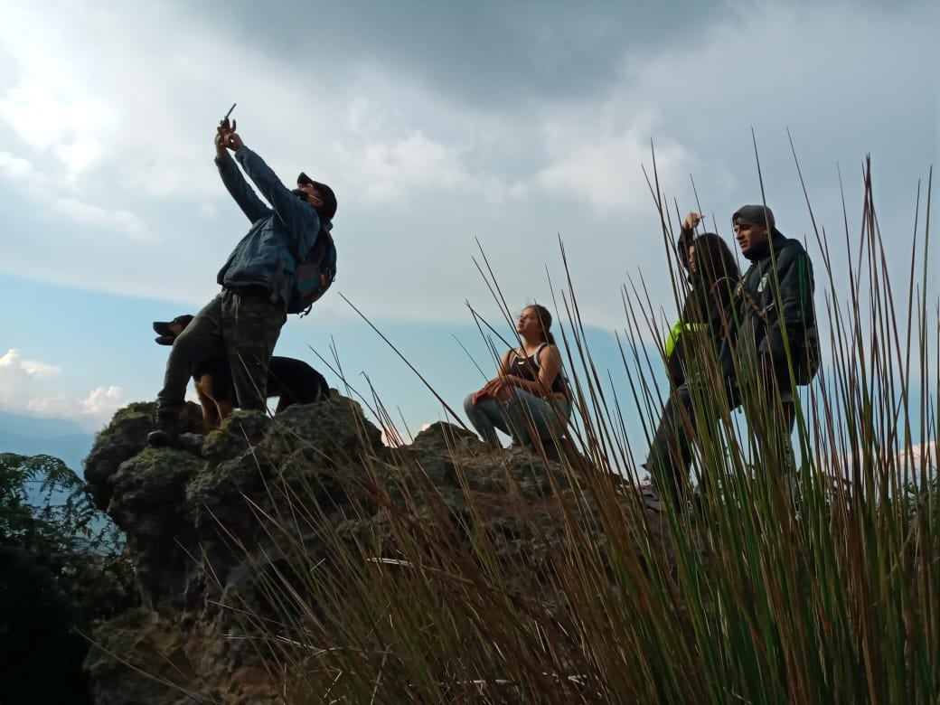 El ecosistema es bosque alto andino y allí es posible encontrar especies como zorros, zarigüeyas o armadillos.