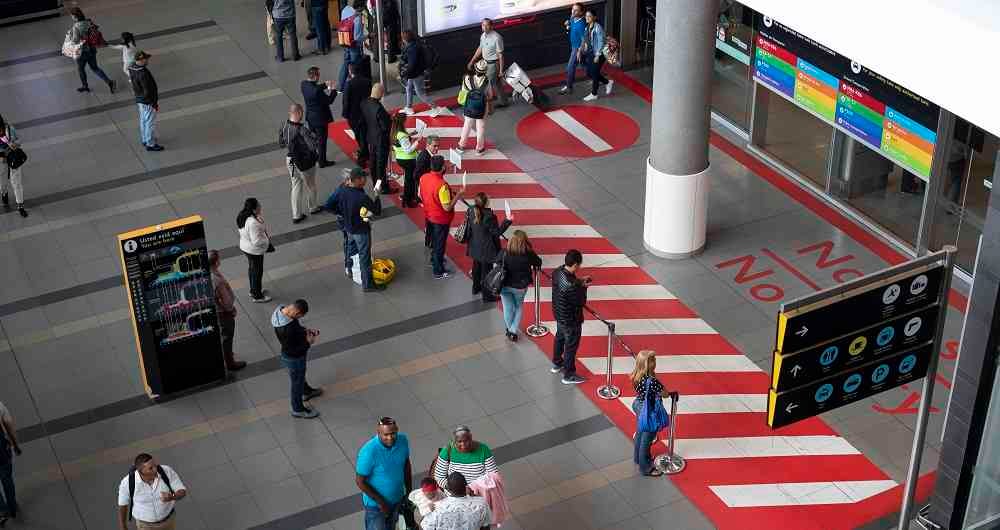 Dinero conversó con representantes de Avianca, Latam Airlines, Viva Air y Wingo para conocer cuál ha sido el balance de este año, cómo va la reactivación de sus vuelos y frecuencias y los planes que están trabajando para la temporada de fin de año que está arrancando. 
