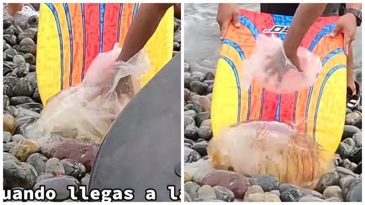 La publicación se hizo viral en redes, algunos califican de peligrosa la maniobra de rescate.