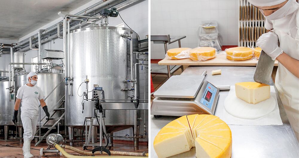 A los centros de acopio industrial llegan 2.620 millones de litros de leche de los 7.393 millones que se producen en el país.