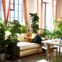 Las plantas en los hogares aportan la vitalidad que necesitan los espacios pequeños de la ciudades.