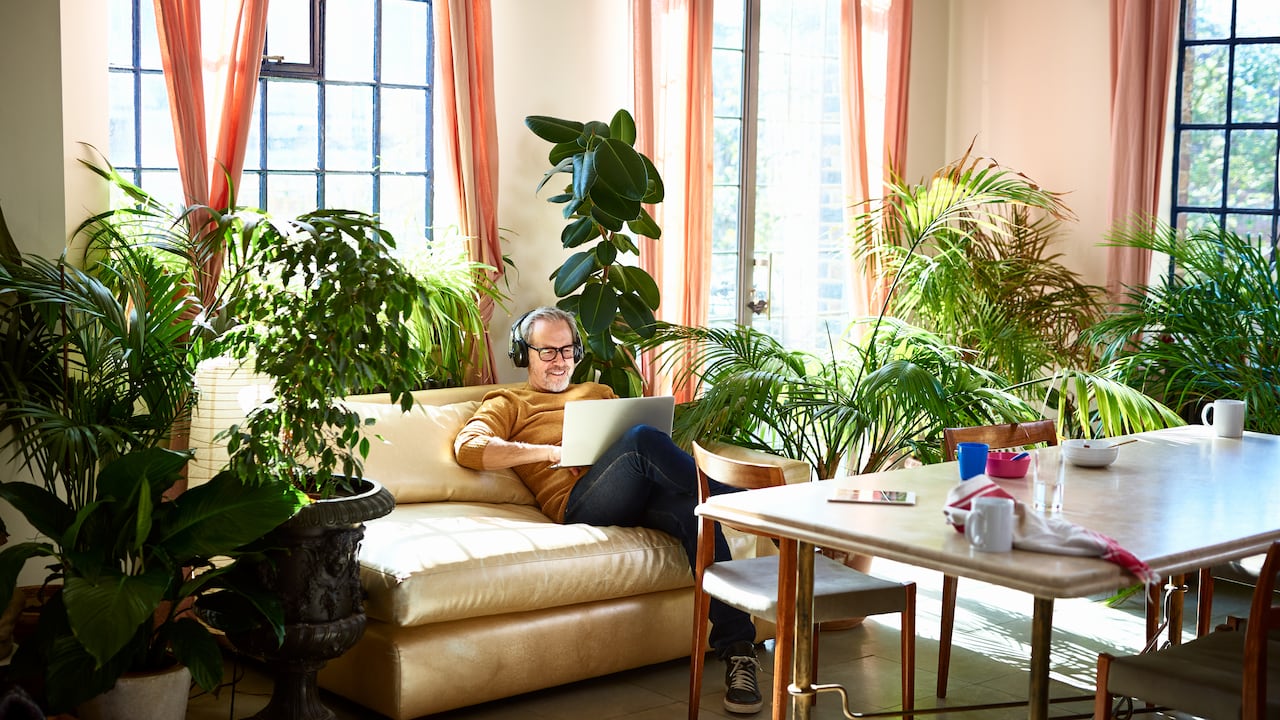 Las vitaminas son clave para mantener las plantas bien nutridas.