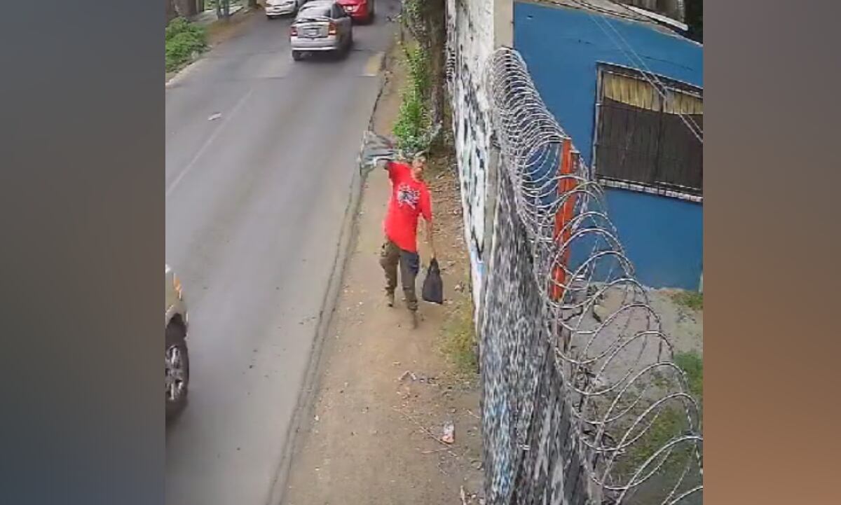 Autoridades piden colaboración del a comunidad para identificar al responsable del caso de maltrato animal.