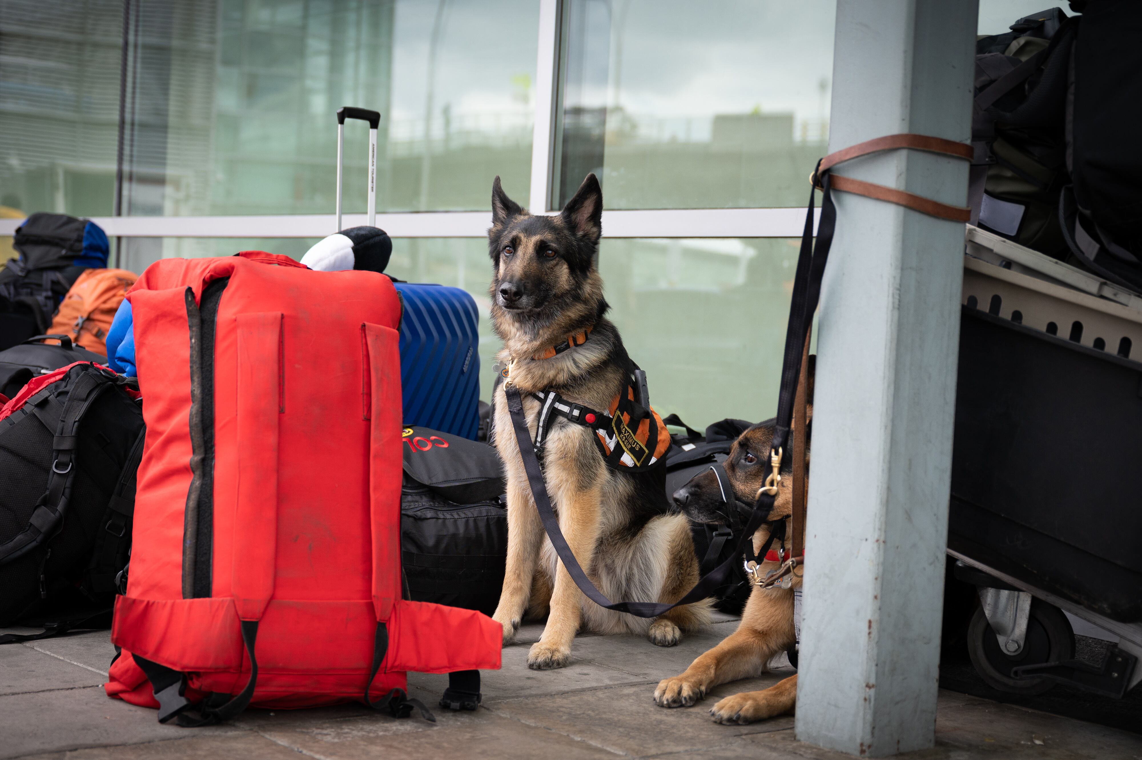 Unidad apoyará labores de rescate en Turquía.