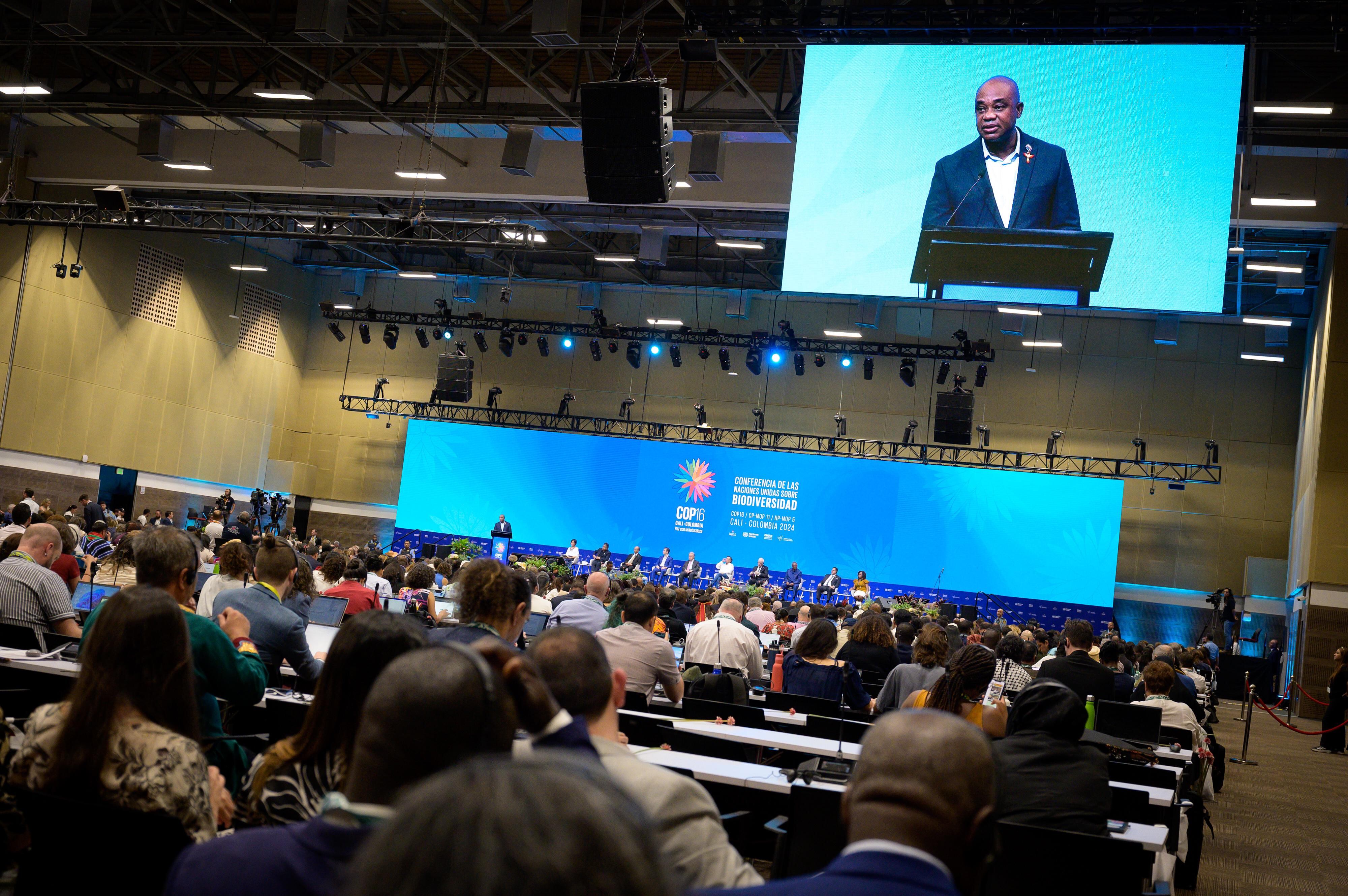 Luis Gilberto Murillo COP16