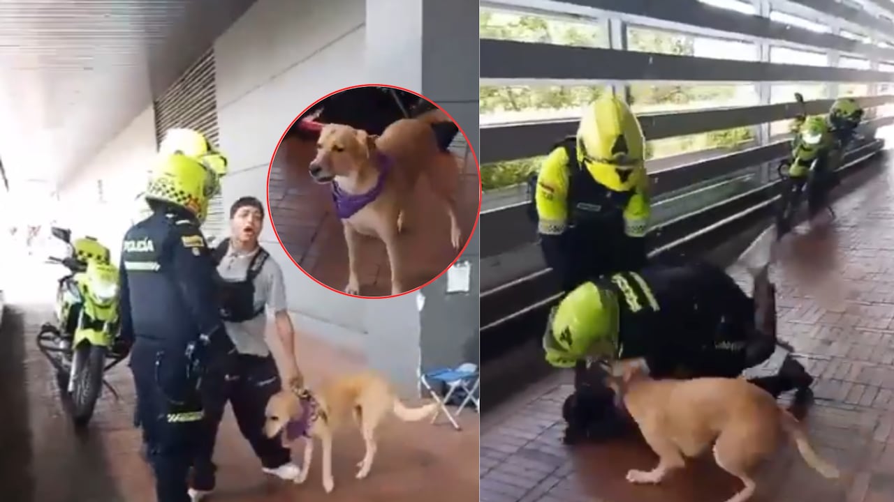 La Policía de Bogotá respondió a críticas, luego de intervenir a un músico y su perrito en la calle.
