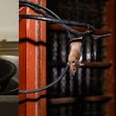Es habitual que busquen zonas cálidas y protegidas debajo o detrás del electrodoméstico.