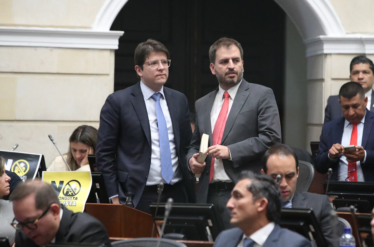 Plenaria Senado, consulta popular