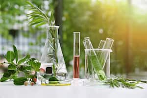 Investigación de medicamentos naturales, extracción científica y orgánica natural en cristalería, medicina alternativa a base de hierbas verdes, productos de belleza para el cuidado de la piel natural, concepto de laboratorio y desarrollo.