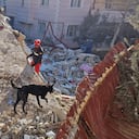 Se han reportado 160 personas fallecidas y casi 1000 heridas tras los terremotos registrados en las últimas horas en Venezuela.
