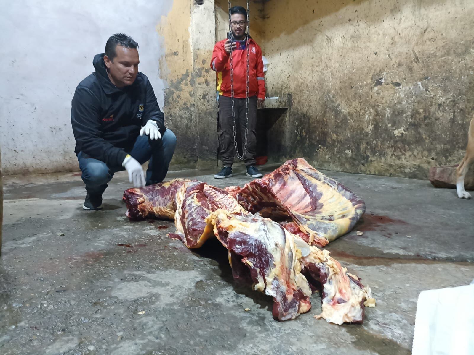 La Policía Metropolitana de Bogotá y la Alcaldía Local de Ciudad Bolívar, descubrieron un matadero clandestino en el barrio Rincón de Mochuelo.