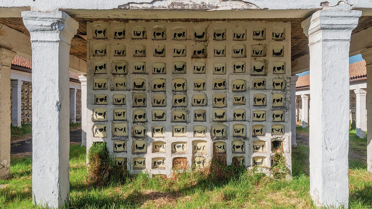 Entre ejemplos emblemáticos se encuentra Auras anónimas, en el Cementerio Central de Bogotá, una de las obras de arte público más importantes del país.