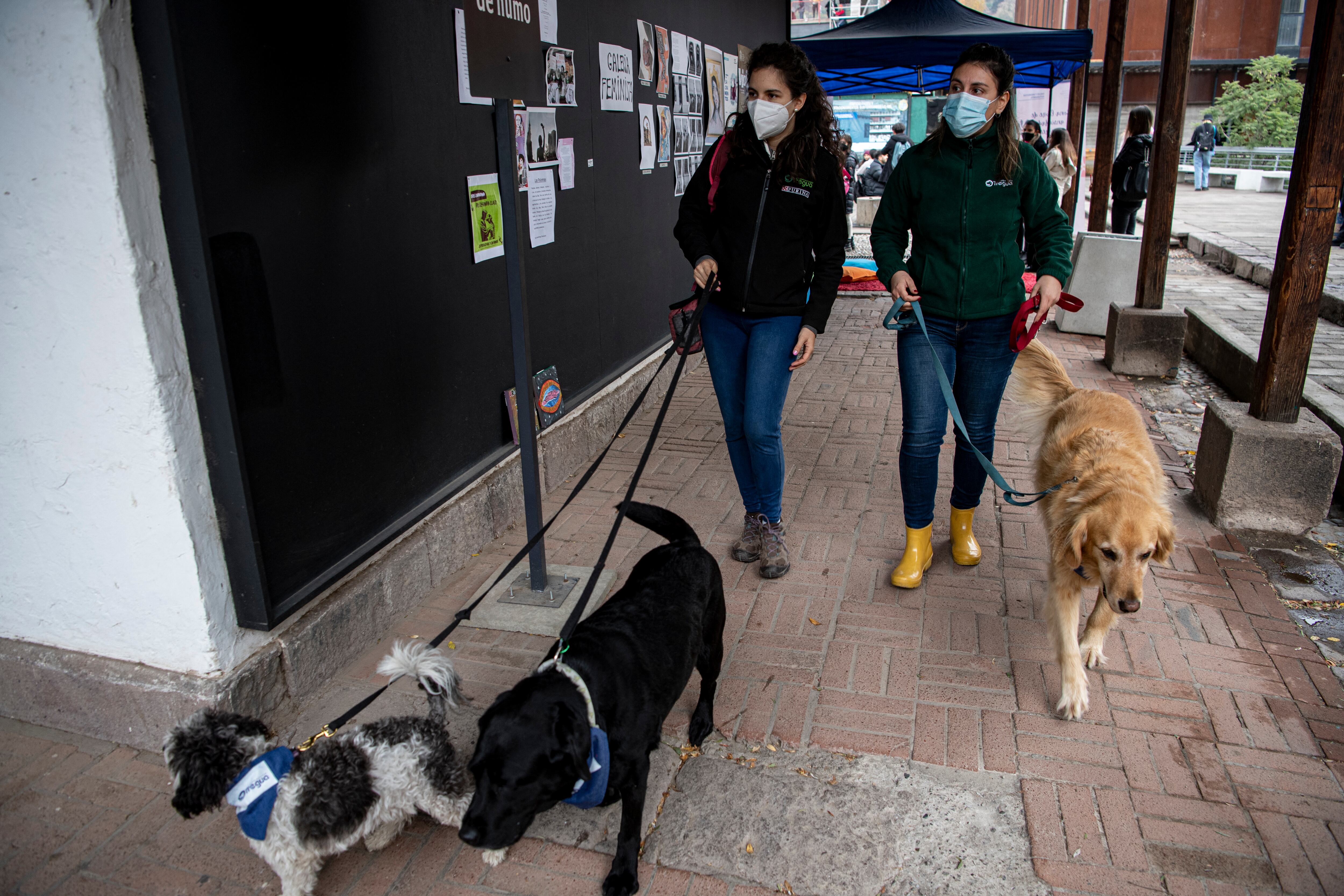 Marcela Farfán (derecha) y Nicole Faust llegan con sus perros entrenados a la Universidad Católica de Chile en Santiago el 29 de abril de 2022 para participar en una terapia con estudiantes para reducir su estrés y ansiedad.