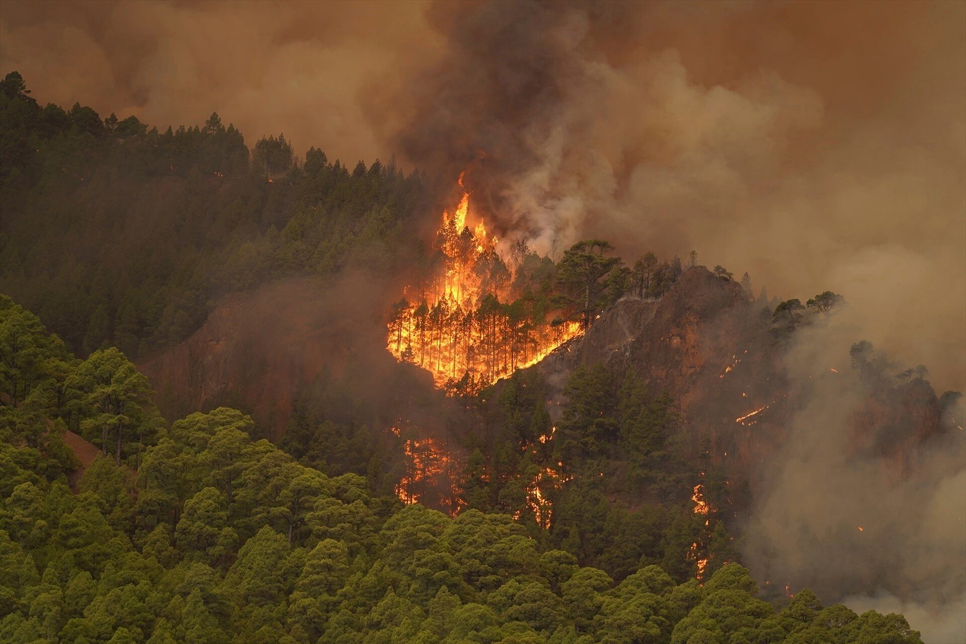 El fuego arde en una zona boscosa cerca del poblado de El Rosario, mientras un incendio forestal afecta Tenerife, en las Islas Canarias, el miércoles 16 de agosto de 2023. (Europa Press vía AP)