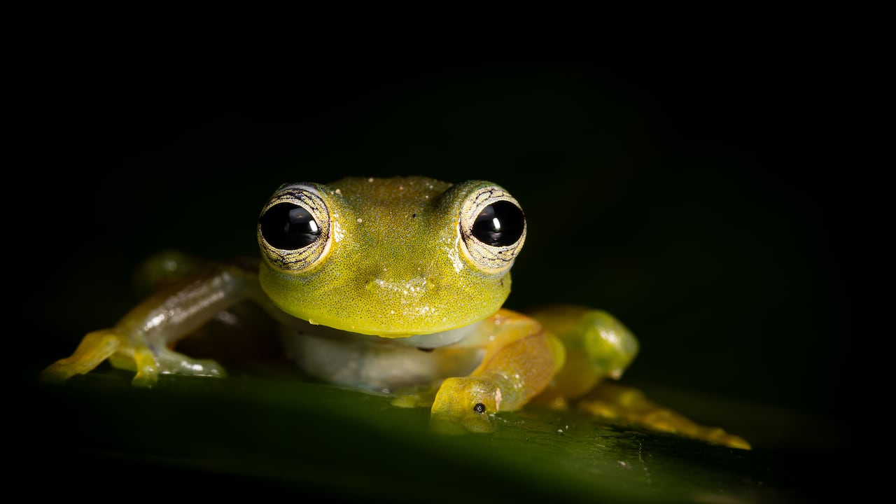 Editorial Bioeconomía y turismo, Otra forma de viajar, Semana Sostenible