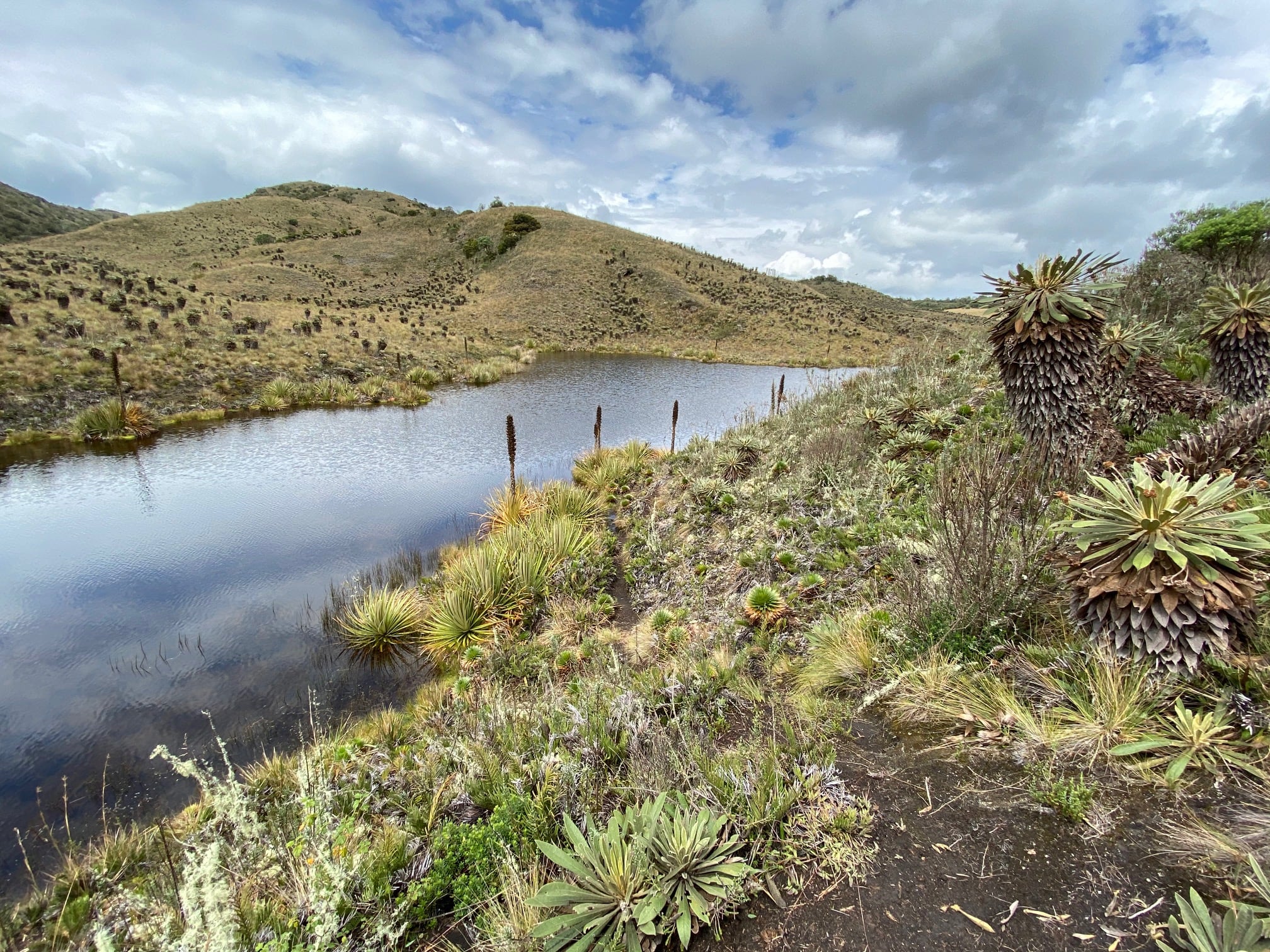 El río Bogotá es de aguas cristalinas y libres de contaminación en su nacimiento.