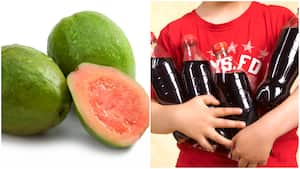 Gustavo Bolívar aboga a favor de la reforma tributaria.