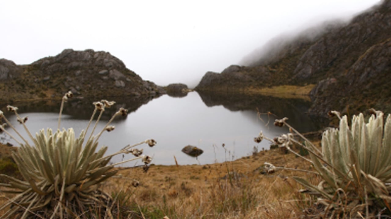 En el país actualmente hay tres fondos de agua en Bogotá, Medellín y Valle del Cauca