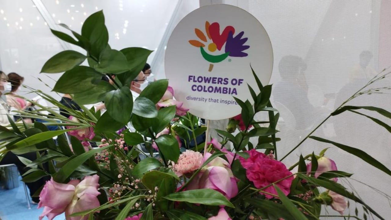 La estrategia fusiona el conocimiento y éxito internacional alcanzado por el sector en más de 50 años de actividades, con los nuevos conocimientos y la voluntad de las próximas generaciones de innovar y aplicar nuevas tecnologías.