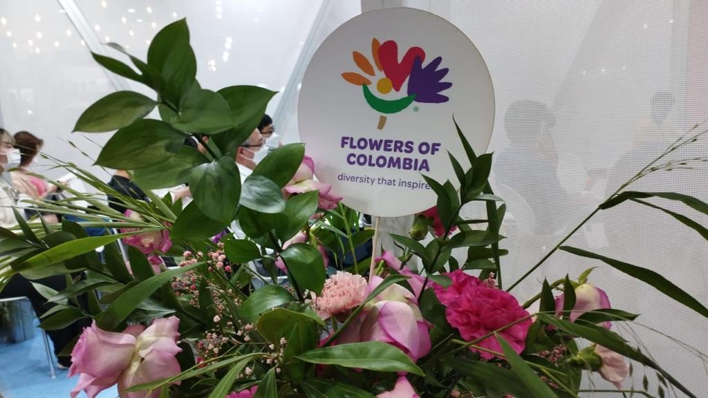 La estrategia fusiona el conocimiento y éxito internacional alcanzado por el sector en más de 50 años de actividades, con los nuevos conocimientos y la voluntad de las próximas generaciones de innovar y aplicar nuevas tecnologías.