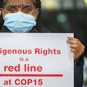 Activistas indígenas en la COP15