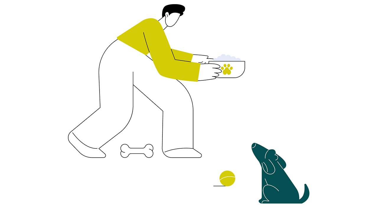 Pequeñas mordidas _1