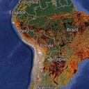 Los incendios han ido en aumento en Latinoamérica causando graves afectaciones a los ecosistemas. Imagen: Global Forest Watch