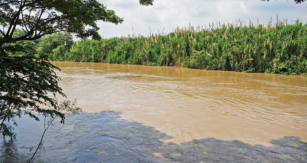 Los areneros a diario ven bajar cadáveres por el río. (Foto: Sebastián Castillo Cuéllar)