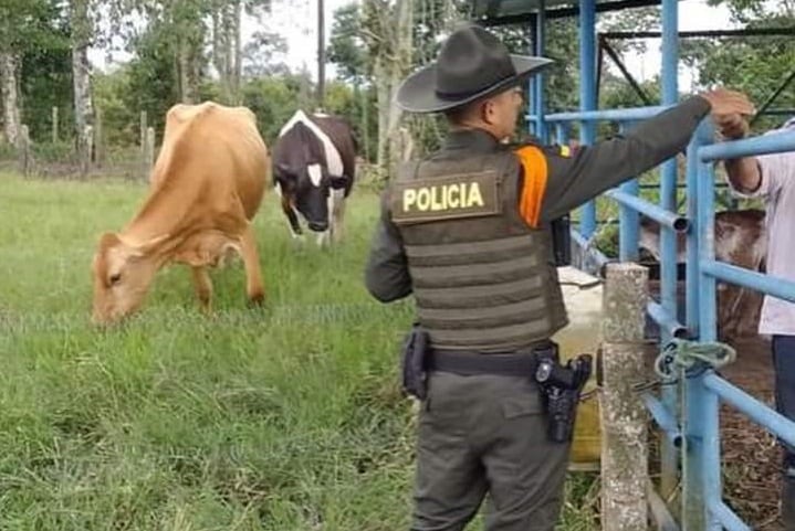 Esta práctica delictiva que ocasiona miles de millones de pesos en perdidas para los productores de la región