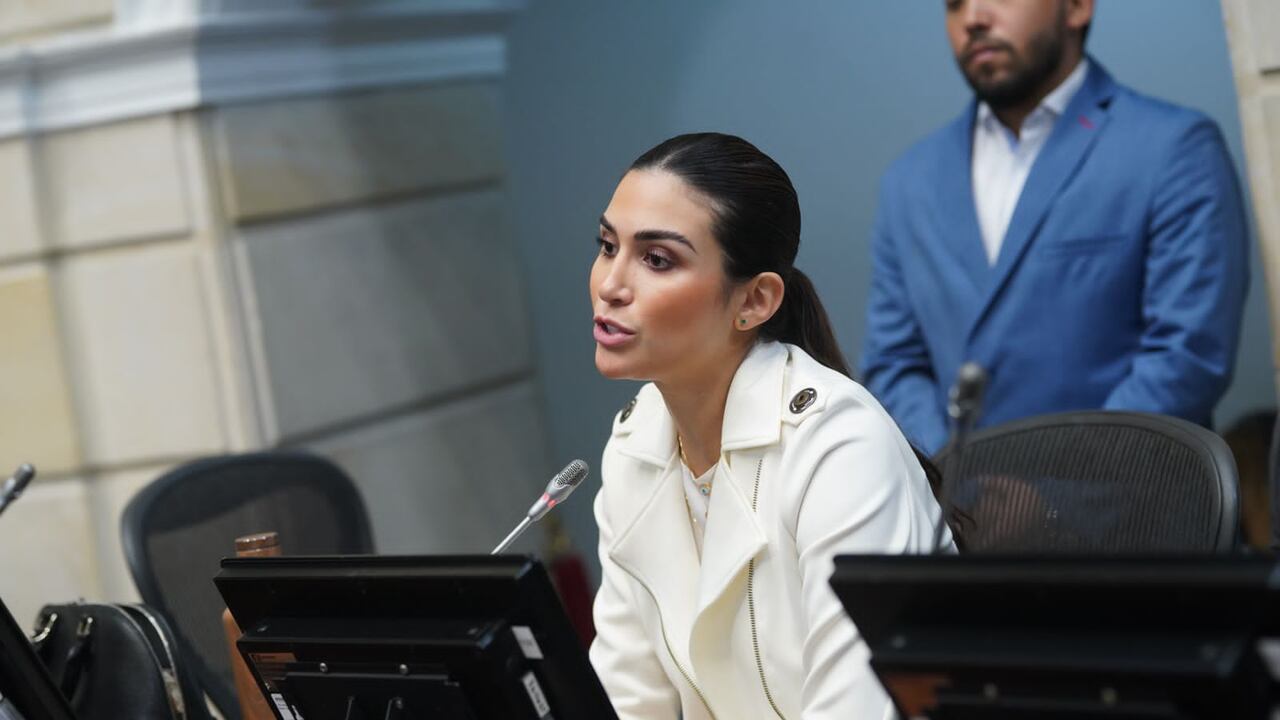 La representante Saray Robayo hace parte de la Comisión Tercera de la Cámara de Representantes.
