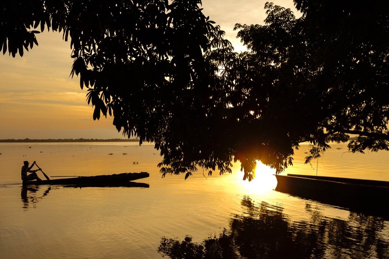 Peces en el río Magdalena