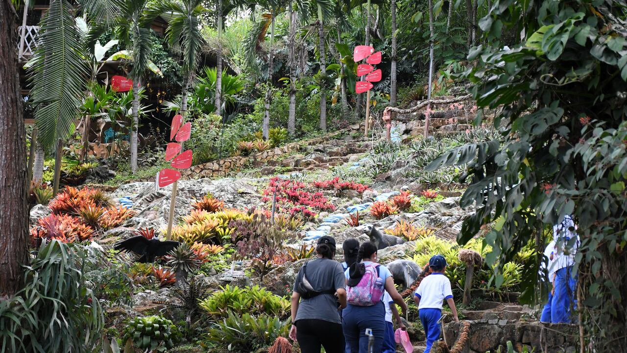 Cali: Recorrido por sitios de turismo regenerativo, COP16. El País