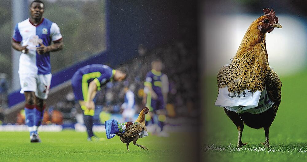 Insólitas protestas_4