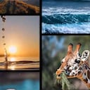 La IA Lumiere permite generar imágenes super realistas.