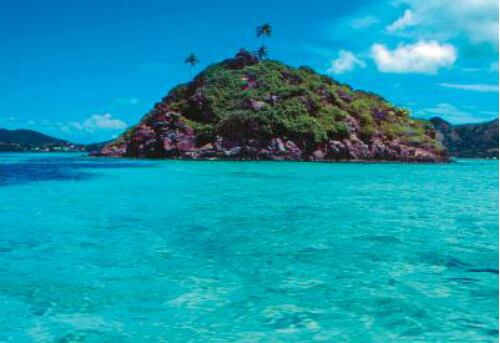 Gorgona es una pequeña isla de unos 25 km² que alberga dentro de sí un paraíso natural, sitio para la investigación de fauna y flora. 