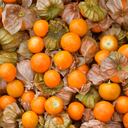 Boyacá, el mayor producto de uchuvas del país.