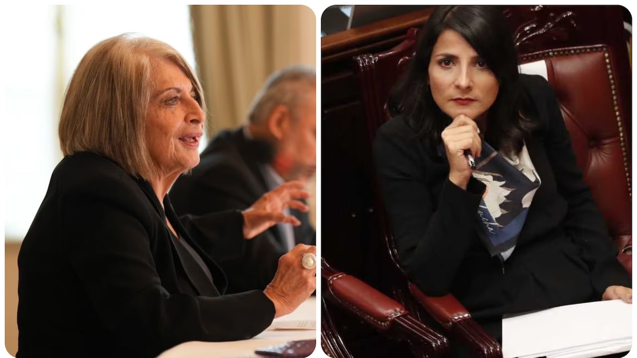 La jefa de la cartera agropecuaria destacó la importancia de la “recuperación del sector agropecuario” para lograrlo.