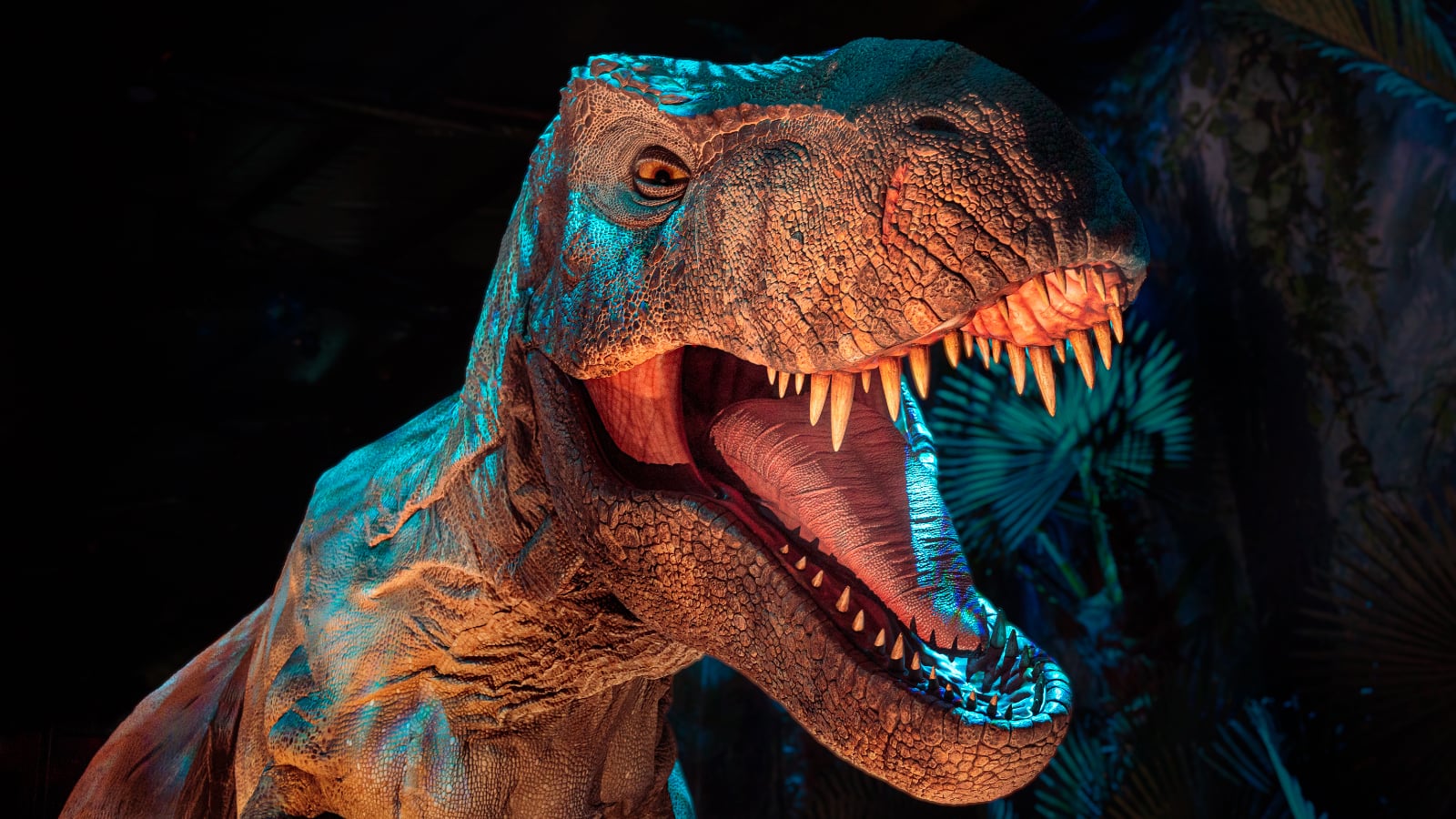 'Jurassic Word: The Experience', a partir del 11 de abril de 2025 en Vive Claro - Distrito Cultural.