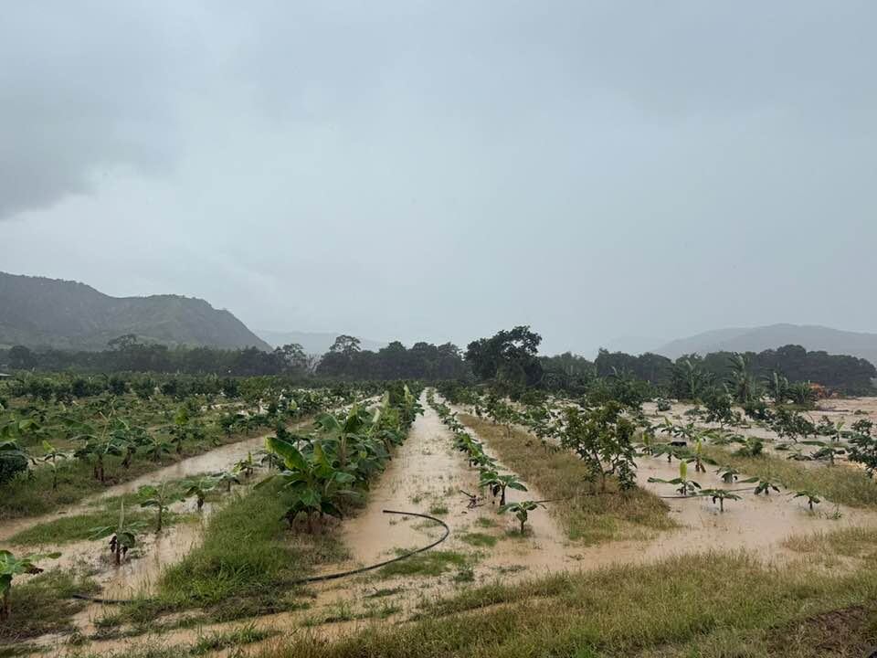 Lluvias provocaron el desbordamiento del río Suaza, en el Huila.
