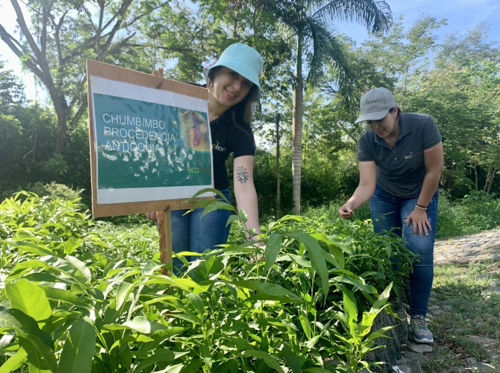 Acumen y aliados invierten USD $400.000 en Ecohome para recuperar el bosque seco tropical