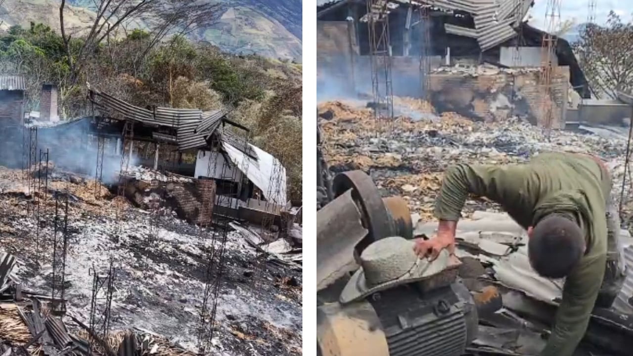 Las imágenes muestran el estado en que quedaron las zonas de cultivo afectadas por el incendio forestal en Ancuya, Nariño, donde las llamas arrasaron áreas de producción agrícola y vegetación.