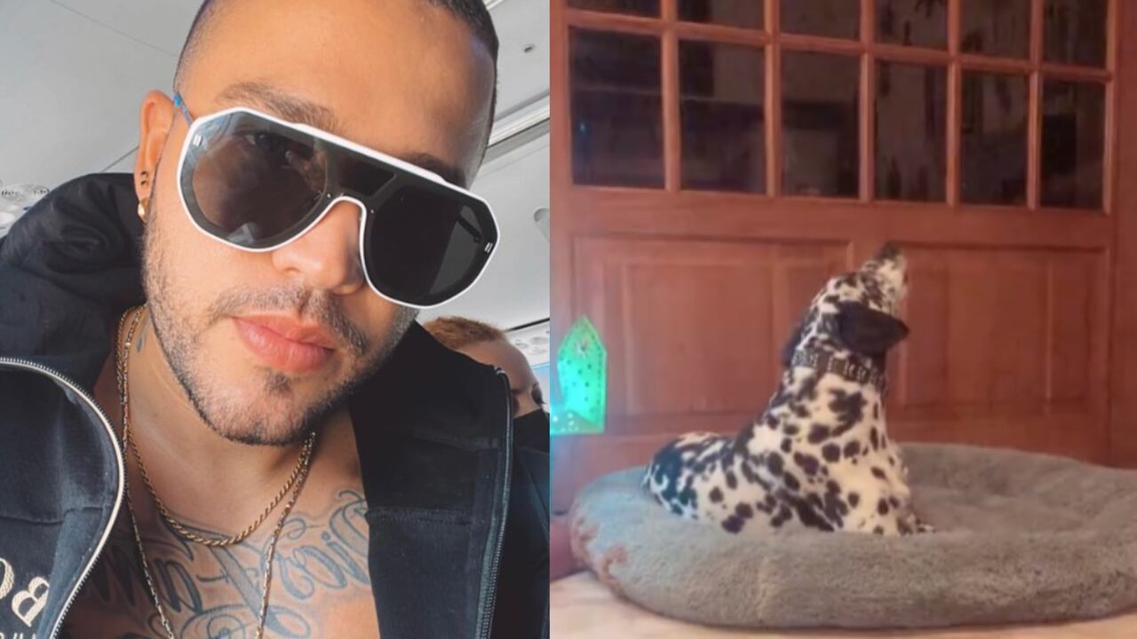 Los dos cantaron alegres y se invitó a que adoptaran al perrito.